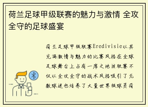 荷兰足球甲级联赛的魅力与激情 全攻全守的足球盛宴
